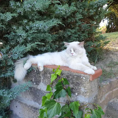 Фермерский дом Colleverde