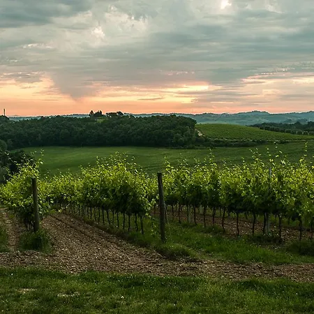 Farma Colleverde