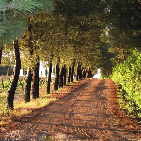 Colleverde * Selvatelle