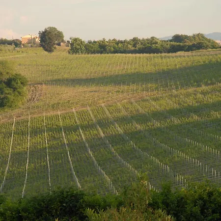 Colleverde